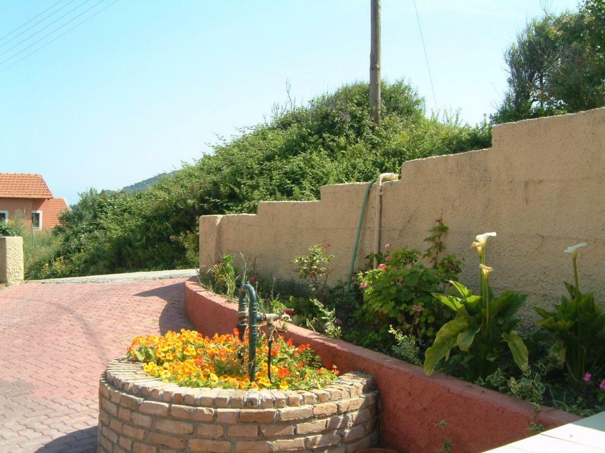 Angela Apartments Pool Gardens And Sea Views Agios Stefanos Avliotes  Ngoại thất bức ảnh